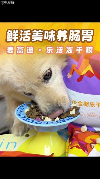 麦富迪新品!养护肠胃配方的乐活冻干粮~#狗粮 #玻璃胃 #狗狗肠胃 #科学养宠攻略 #麦富迪