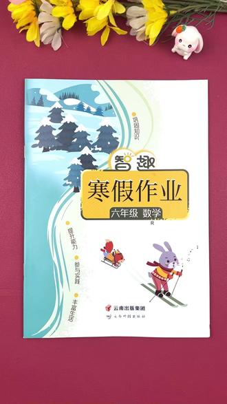 六年级 #寒假作业 #数学 #寒假衔接 练习册 #人教版 六年级 数学 寒假上册复习 下册预习