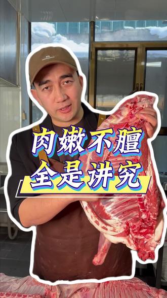 手抓肉店老板的选羊标准:记住这几点,你也能挑到肉嫩不膻的好羊肉#金山手抓肉 #伊宁市 #美食