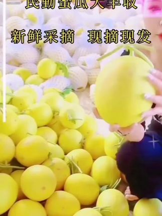 #民勤蜜瓜熟了 #优质农产品原产地 #源头好货在这里 #家乡特产。