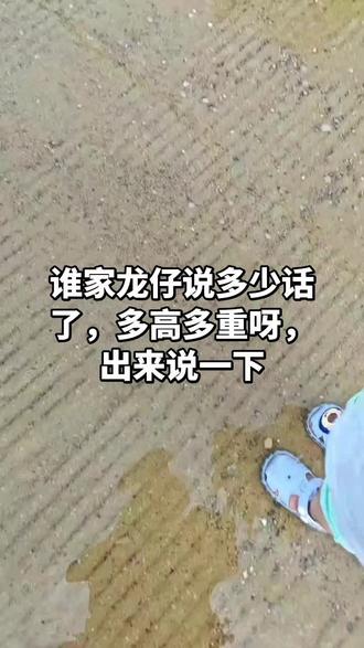 十月份龙仔85高22斤会学动物叫,叫爸爸妈妈爷爷奶奶