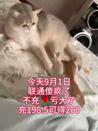 #太划算了#好物分享🔥 @抖音小助手