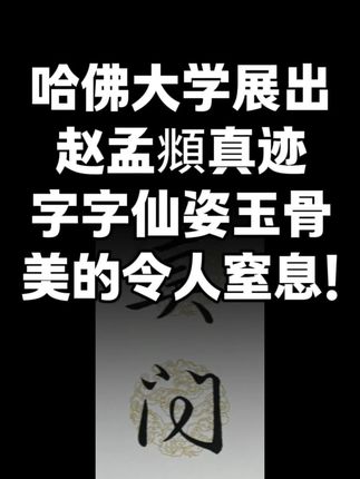 赵孟頫行书梅花诗集字百联 #行书 #对联 #书法 #赵孟頫 #写字是一种生活