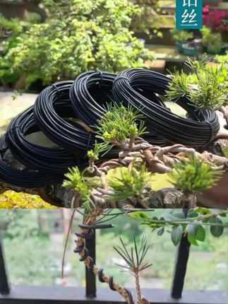 绿植花木造型盆景手工定型铁丝盆栽三角梅树枝定型固定线园艺铝线 #盆栽定型 #园艺造型铝丝 #蟠扎造型 #盆景定型铝丝 #绿植固定