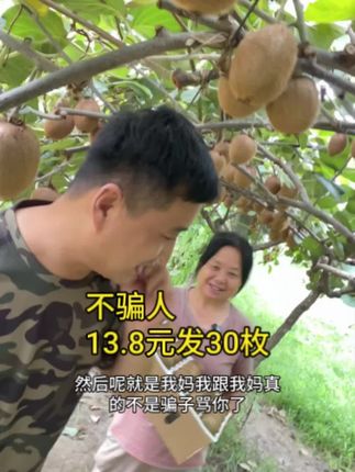 自己家的徐香猕猴桃熟啦,13.8元30枚包邮#如果丰收农作物会说话 #出现又离开 #抖音美好丰收节 #星乡村星农人 #猕猴桃