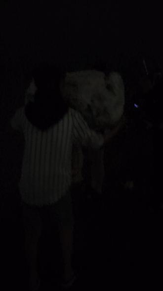 打卡成功蓝眼泪,那场面太震撼了,成千上万人堵车四五公里,我凌晨一点多到,三四点拍到这些蓝眼泪#宁波蓝眼泪 #新湾沙滩蓝眼泪 #蓝眼泪