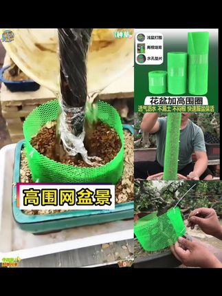 #盆景围圈