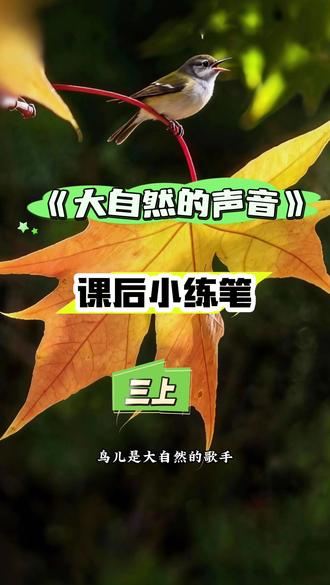 三年级上册 大自然的声音 课后小练笔