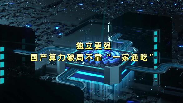 独立更强!国产算力的破局不靠“一家通吃”#光合组织 #HAIC #算力
