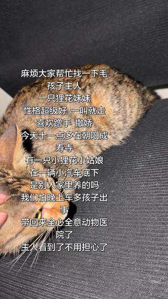 拜托大家可以帮忙问问谁家毛孩子走丢了 一只狸花妹妹看着大概四五个月大。
主人看到了不用担心,我们已经给孩子倒了水和猫粮了,拜托大家看到了问问身边朋友有没有在附近走丢了的小狸花。这小孩性格超级好,粘人可爱,胆子也大大的,怕路边的电动车。#猫咪 #世界真的不能没有小猫咪 #爱护猫猫 #保护猫咪 #请爱护好自己的小猫咪哦