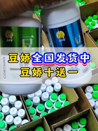 豆娇全国发货中,豆娇十送一。#豆角种植 #豆角高产技术 #豆角种植技术 #促花保果#浇水
