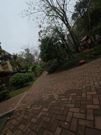 #第一视角 2026第一场冰冻🥶🥶🥶🥶🥶