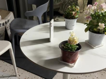 买了一台超绝尺寸133克老款手机 #数码科技 #iphone #mini #iphone12mini #二手