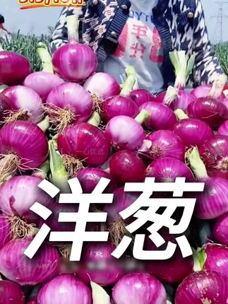 又回购了两箱这个黄金玉米段,口感软糯香甜,浓浓的玉米香,配料只有玉米,家里老人孩子都可以放心吃#糯玉米 #玉米 -