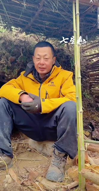 晚七点为熊二投票加油!#荒野求生 #荒野生存