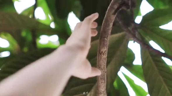 爱的桥段 叫我怎么写