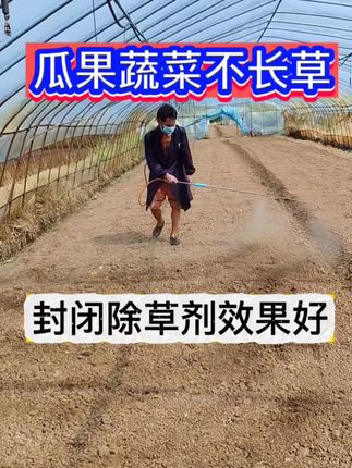 瓜果蔬菜苗前封闭除草剂 种蔬菜打苗前封闭,地里干干净净没有杂草,省钱省事儿又省心 #蔬菜苗前封闭除草剂 #蔬菜除草 #西瓜除草剂 #苗前封闭除草剂