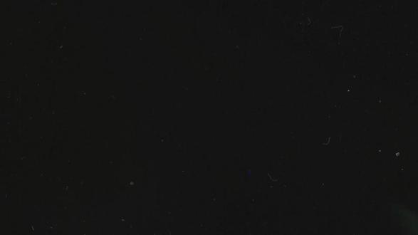 年度混剪!攒了一年的素材终于该出来露一下脸了。 2025年即将结束,来看看我们这一年的高光时刻吧!@Ann #我的2025年度混剪 #我的年度摄影总结2025 #年终总结 感谢@王松傲寒 老师的模板