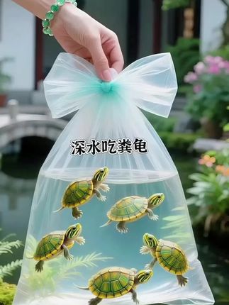 深水黄耳吃粪龟 #深水黄耳龟 #吃粪龟 #乌龟 #龟龟🐢 #宠物龟