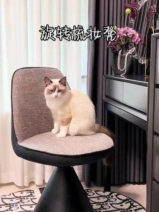 梳妆台都有了,怎么能少得了一个颜值高又好座的化妆凳呢#化妆凳 #旋转化妆凳 #家居软装搭配 #家居好物 #好物推荐🔥