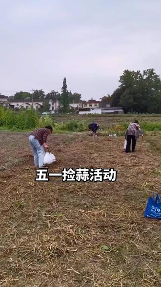 活动不停,捡蒜不止#东林艺术村 #温江