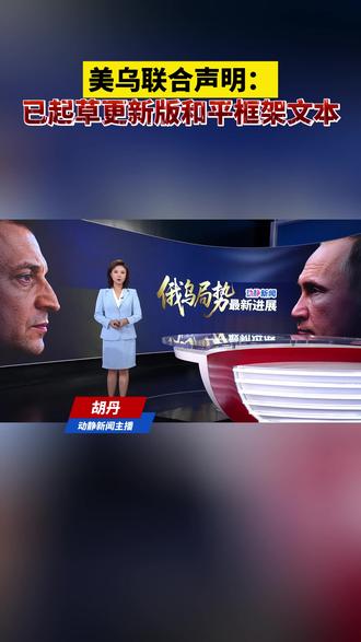 美乌联合声明:已起草更新版和平框架文本