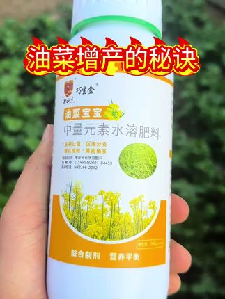 油菜出苗后用上它,油菜根粗苗壮,开花多结荚多,籽粒饱满产量高#油菜种植#油菜宝宝#油菜增产专用肥 #农资肥料
