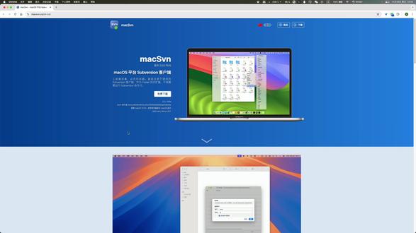 mac上像git一样超好用的svn可视化软件,程序员福音啊! #编程 #热点 #github #svn #程序员