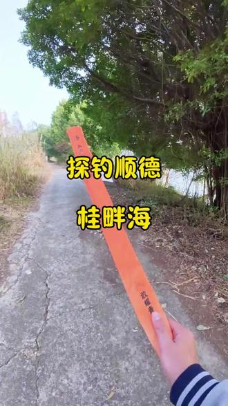 差点就要站起来了
#螺纹钢综合#螺纹钢宗#户外真实野钓 #野钓 #钓鱼 @汉鼎官方旗舰店