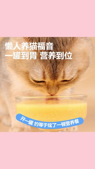 宝迪路猫罐头添加鸡丝鱼油肉肉粥宠物零食猫狗通用新鲜鸡小胸湿粮 #宝迪路肉肉粥 #鸡丝鱼油猫罐头 #猫狗通用零食 #新鲜鸡小胸湿粮 #宠物湿粮罐