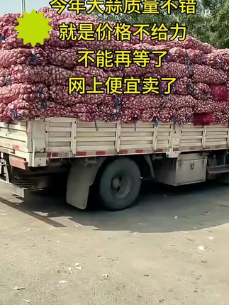 #大蒜 #大蒜种植 #大蒜价格 #紫皮大蒜 #大蒜种子