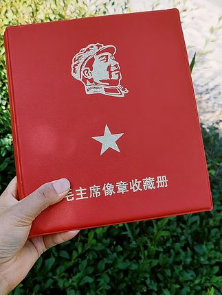 #像章 #120枚像章收藏册