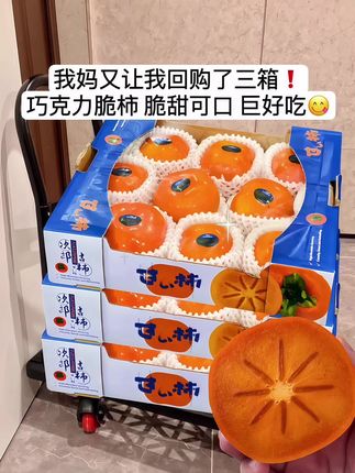 #阳丰脆柿 #脆柿子 #柿子 #脆柿子好吃 #新鲜应季水果