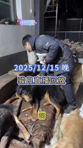 骏良直播回放#骏良 #骏良直播 #豆豆