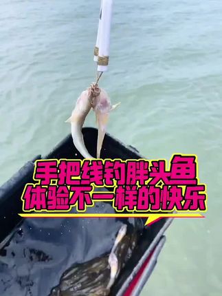 手把线钓胖头鱼神器#好无聊#手把线钓胖头鱼神器