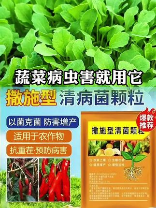 撒施型清病菌颗粒#三农 #撒施型清菌颗粒 #病虫害防治 #农资肥料 #农业种植 @抖音热点 @抖音生活服务热点宝