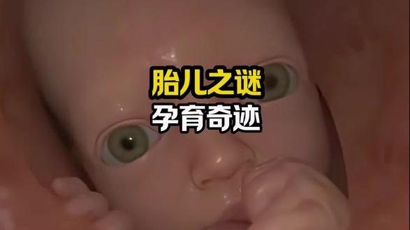 孕育奇迹.胎儿之谜.刷新你的认知 #胎儿发育 #科普知识 #科普
