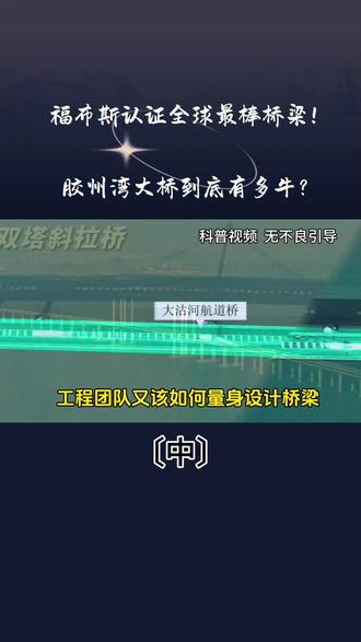 征服极端海域!胶州湾工程让世界见识中国基建力量〔中〕#胶州湾大桥 #中国基建永远可以相信 #逆天基建工程 #青岛超级工程 #世界顶级桥梁