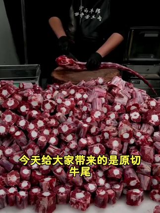 【原切牛尾中段】甘肃张掖黄牛肉新鲜牛尾巴牛尾骨煲汤红烧牛尾5斤#好物分享#好物推荐#种草好物