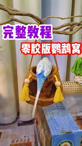 手残党也能做!粉丝催跟N次的零胶鹦鹉窝完整教程终于来啦!一花一叶做玩具,零胶养了更放心#鹦鹉窝DIY #零胶鹦鹉用品 #虎皮鹦鹉 #养鹦鹉日常 #手工鸟窝