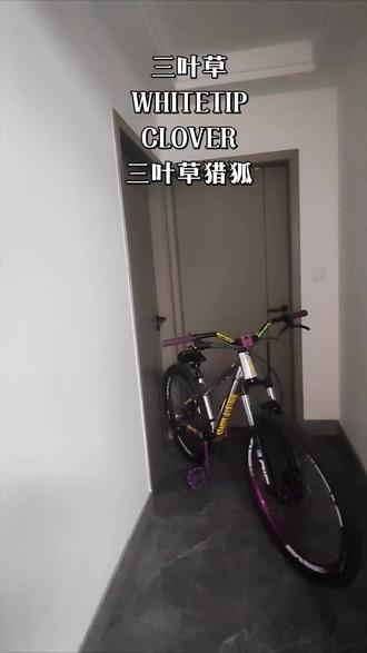 @whitetip clover自行车旗舰店