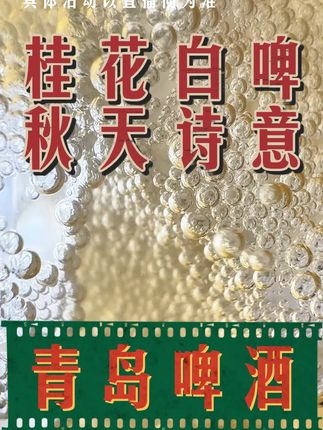 桂花香白啤,整箱包邮到家! #青岛啤酒 #七夕 #桂花啤酒 #价格实惠