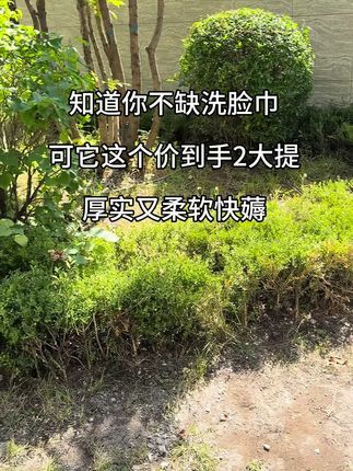 迪士尼洗脸巾又卷出新高度了!十几块钱到手一大提足足700g加大加厚,正品官旗店发货#好物推荐🔥 #好物分享 #迪士尼洗脸巾 #洗脸巾 #洗脸巾推荐