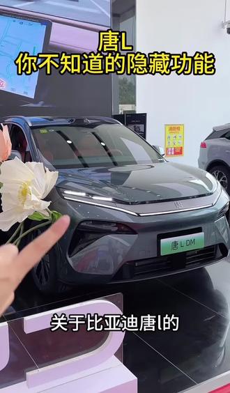 唐l的隐藏功能 赶紧收藏起来吧#比亚迪