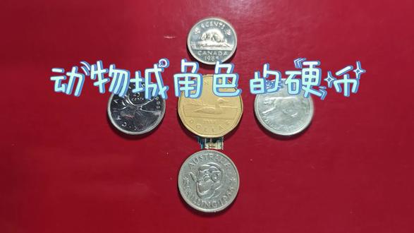 动物形象的货币
#疯狂动物城