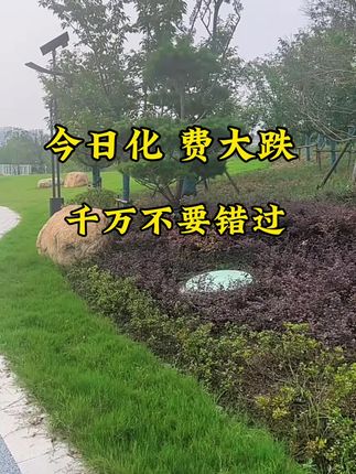 #优惠活动火爆进行中 #每日分享