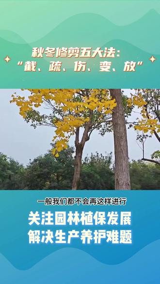 秋冬修剪五大法 #修剪 #树木修剪 #过冬 #造型 #园林植物保护科学技术创新论坛