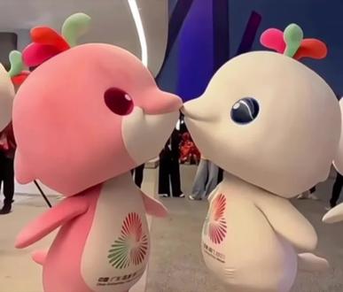 被萌化了🤣🤣#十五届全运会 #大湾鸡