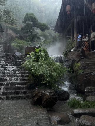 雨纷纷 旧故里草木深 只有同频的人才会喜欢这种氛围吧 #婺源篁岭