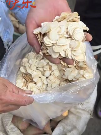 恩妮正宗西洋参片长白山足龄高品质西洋参切片拍一发四#西洋参#助农#热门#山货